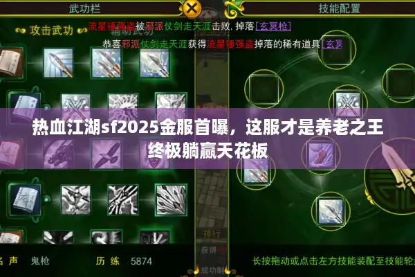 热血江湖sf2025金服首曝，这服才是养老之王终极躺赢天花板