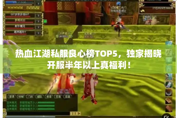 热血江湖私服良心榜TOP5，独家揭晓开服半年以上真福利！