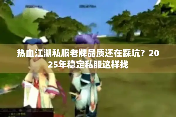 热血江湖私服老牌品质还在踩坑？2025年稳定私服这样找