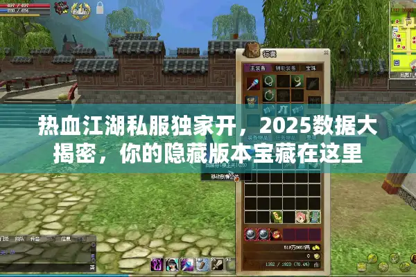 热血江湖私服独家开，2025数据大揭密，你的隐藏版本宝藏在这里