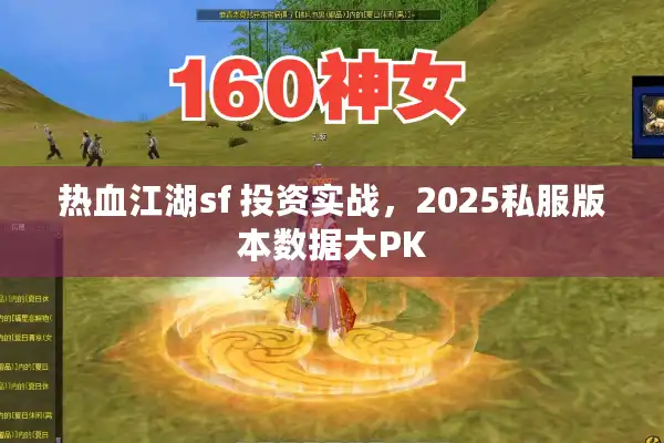 热血江湖sf 投资实战，2025私服版本数据大PK