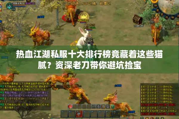 热血江湖私服十大排行榜竟藏着这些猫腻？资深老刀带你避坑捡宝