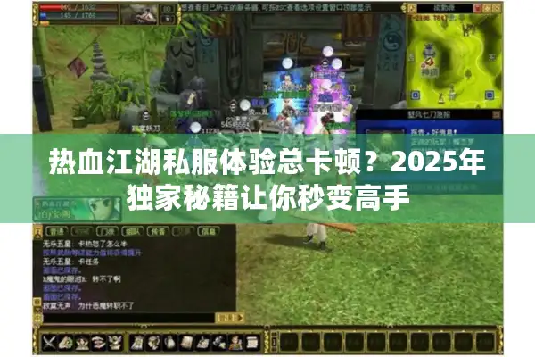 热血江湖私服体验总卡顿?2025年独家秘籍让你秒变高手 热血江湖私服体验总卡顿?2025年独家秘籍让你秒变高手