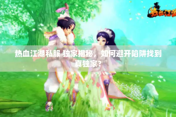 热血江湖私服 独家揭秘,如何避开陷阱找到真独家? 热血江湖私服 独家揭秘,如何避开陷阱找到真独家?