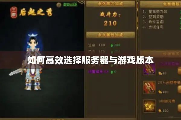 如何高效选择服务器与游戏版本