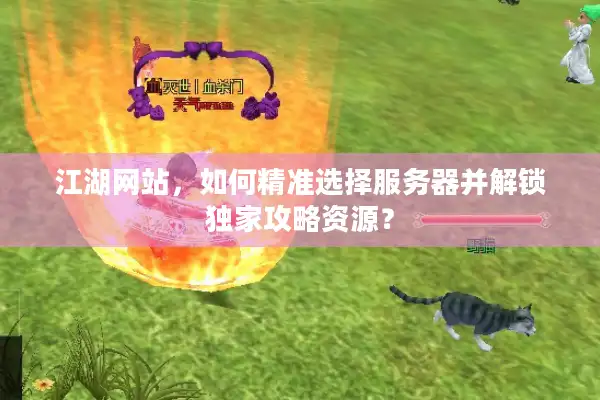 江湖网站，如何精准选择服务器并解锁独家攻略资源？