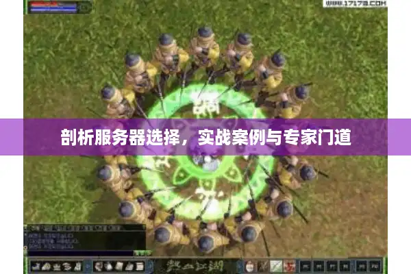 剖析服务器选择,实战案例与专家门道 剖析服务器选择,实战案例与专家门道