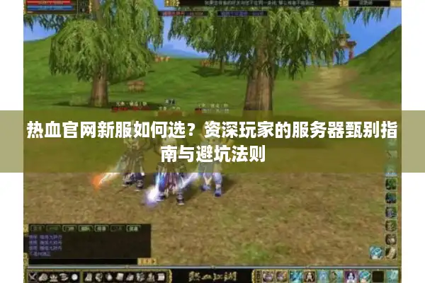 热血官网新服如何选？资深玩家的服务器甄别指南与避坑法则
