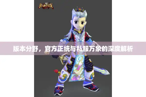 版本分野，官方正统与私服万象的深度解析