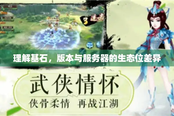 理解基石，版本与服务器的生态位差异