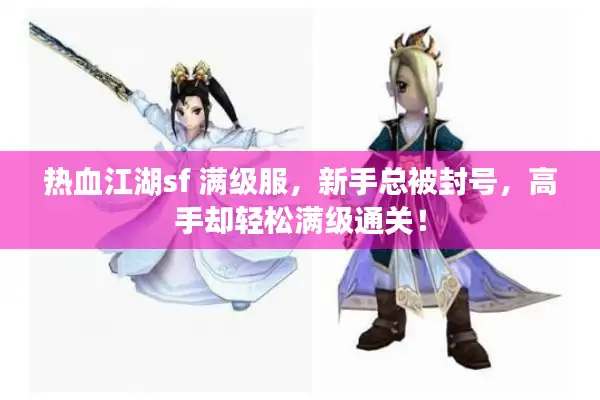 热血江湖sf 满级服，新手总被封号，高手却轻松满级通关！